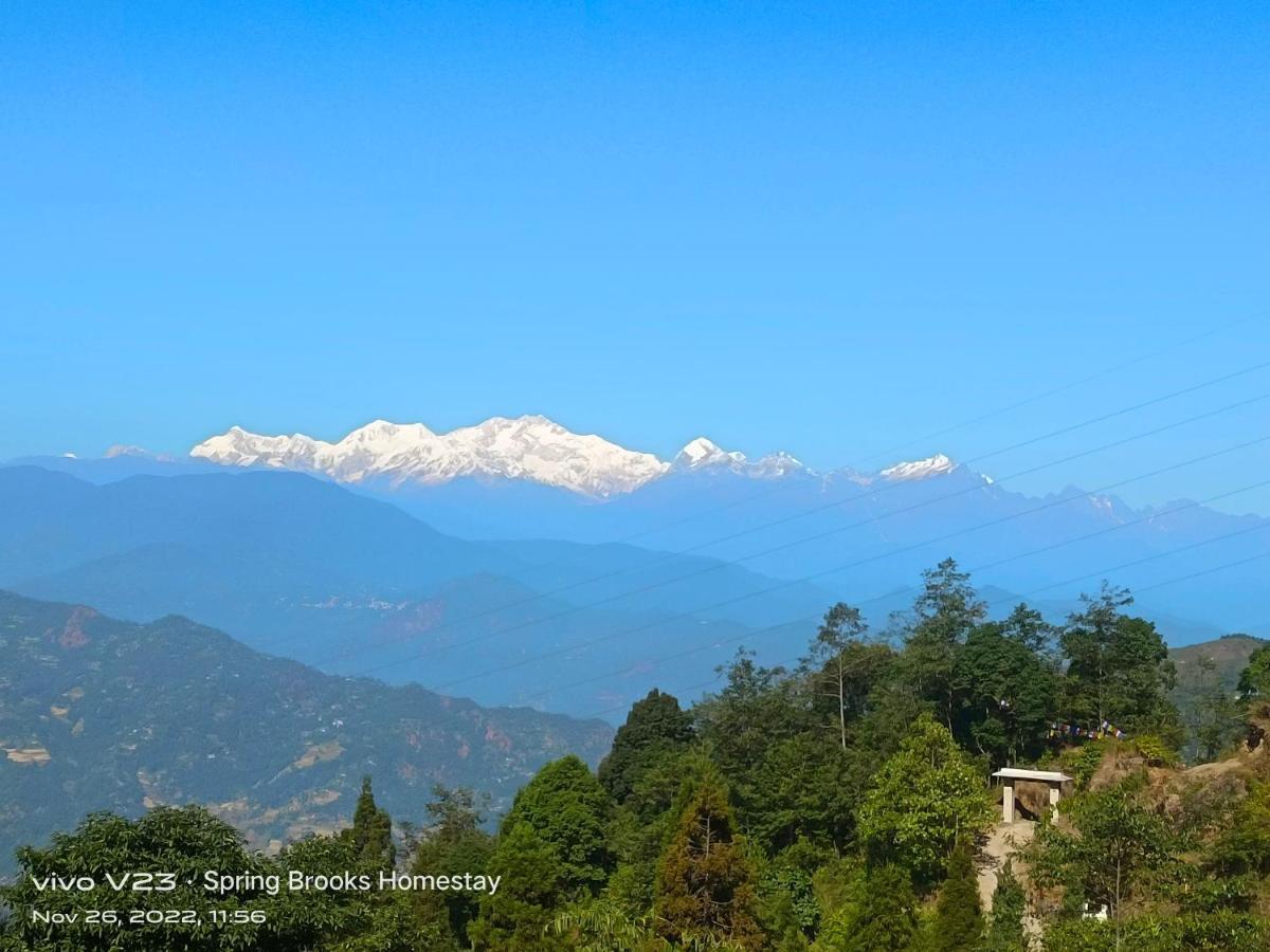 Spring Brooks Homestay Darjeeling  Exterior photo