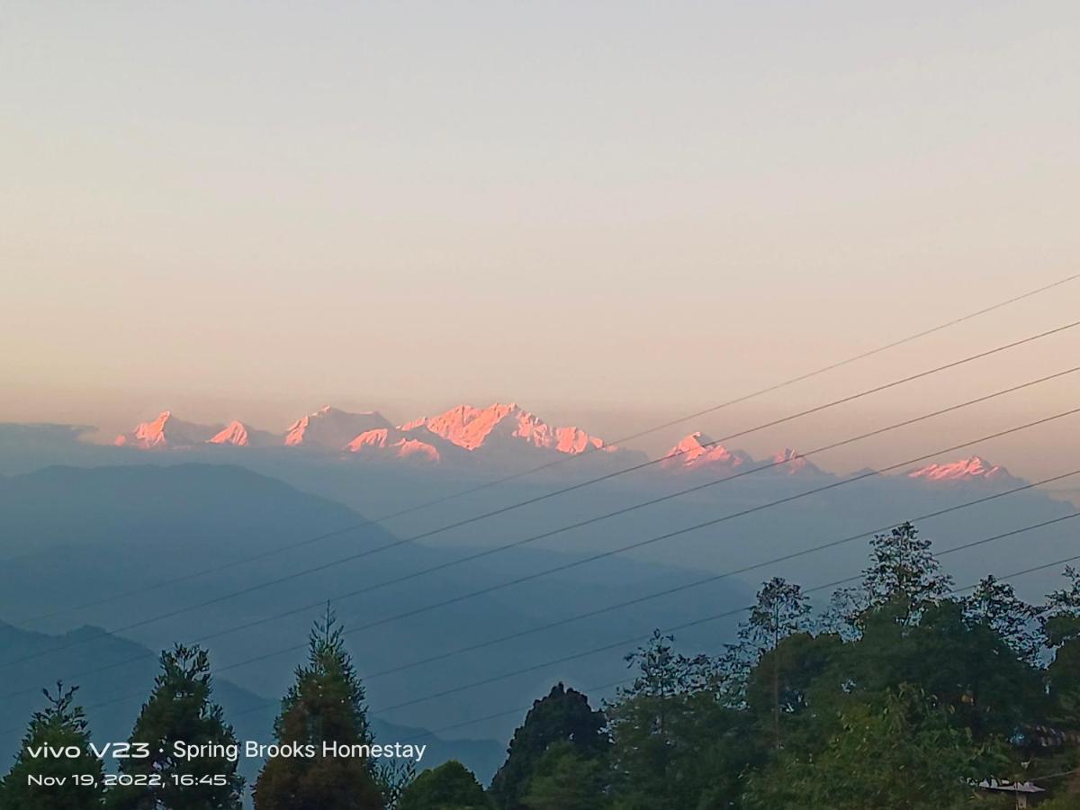 Spring Brooks Homestay Darjeeling  Exterior photo